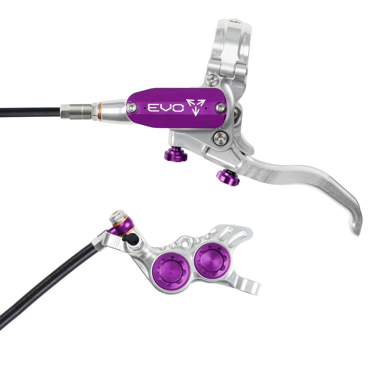 Frein HOPE TR4